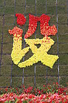 鲜花 周年庆 庆祝