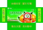 脐橙 碰柑 桔子 礼品盒 手提盒