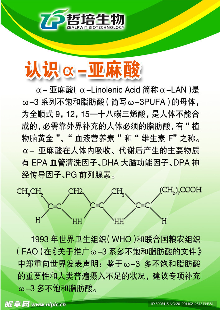 企业简介展板