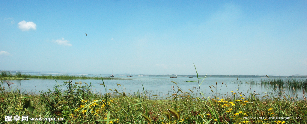 生态湿地