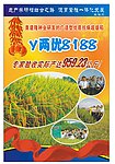 y两优8188