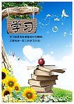 学校文化学习