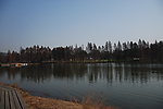 湖岸