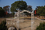 园林婚庆