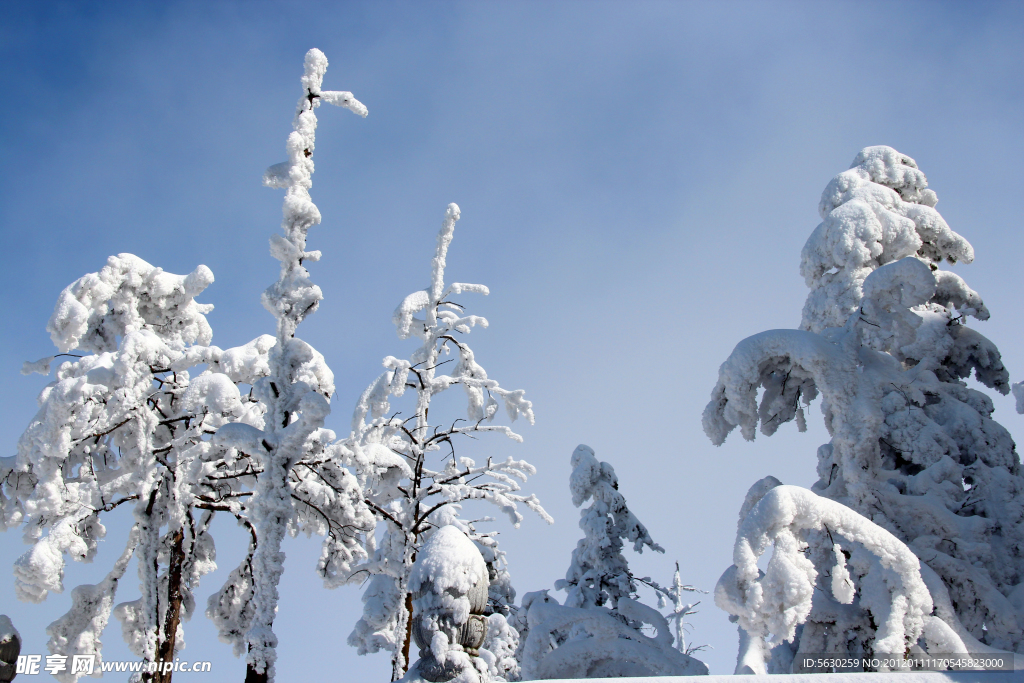 雪景 峨眉山