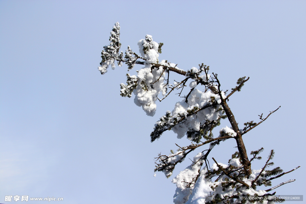 雪景 峨眉山