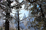 雪景 峨眉山