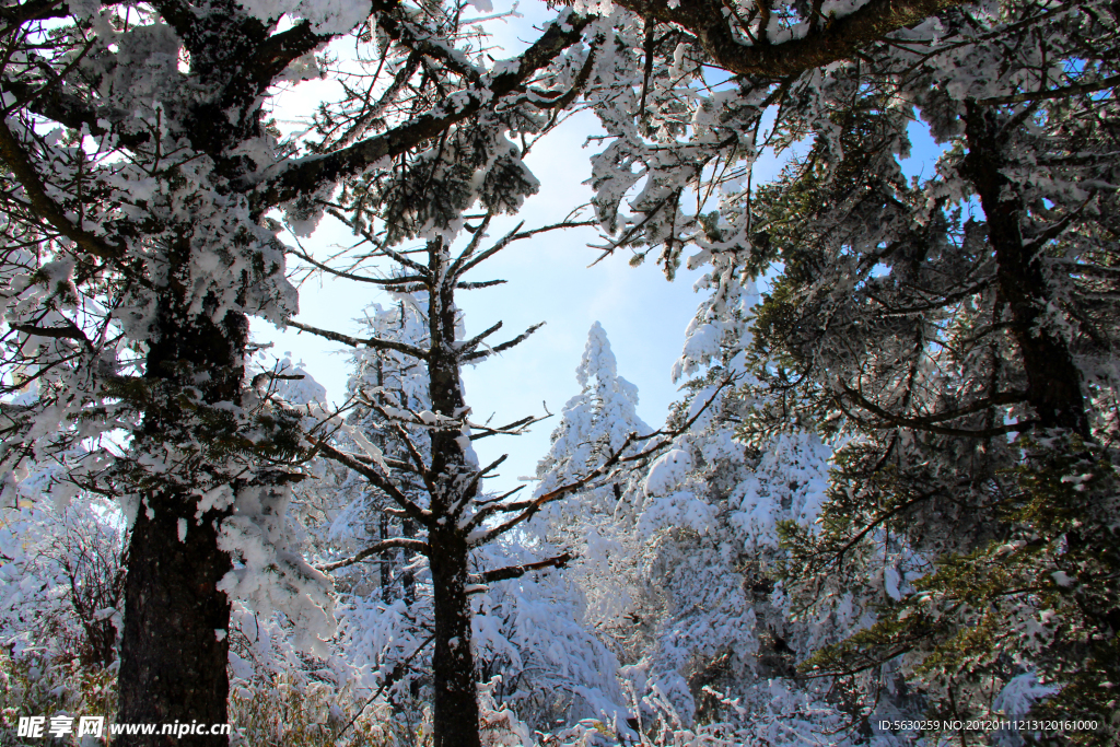 雪景 峨眉山