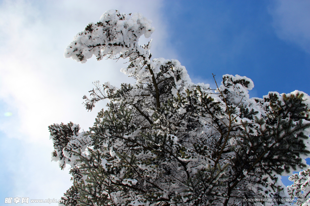 雪景 峨眉山