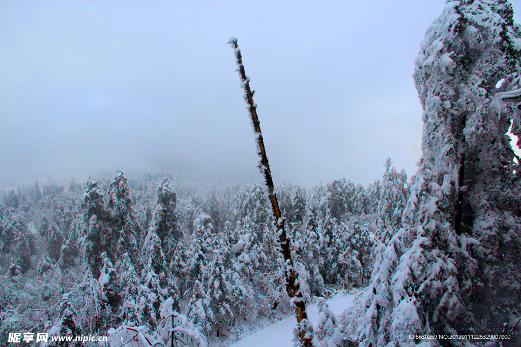 雪景 峨眉山