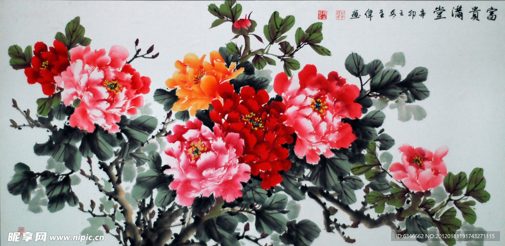 牡丹