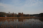 东湖秋景