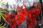 新年祈福