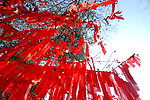 新年祈福
