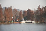 东湖秋景