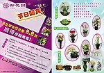 花店32K传单