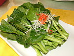 广东菜心