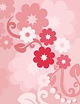 粉色的花儿