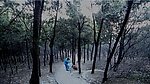 扫山山嫂