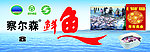 察尔森鱼广告