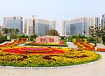 美丽和谐