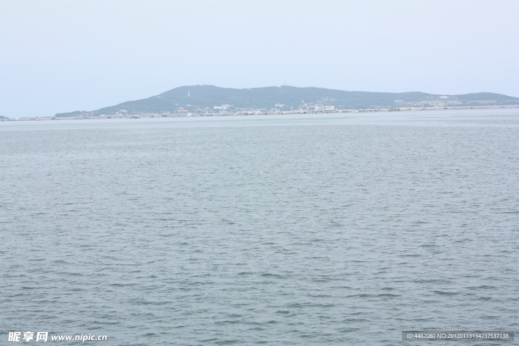 大海