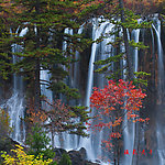 瀑布山林
