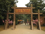 聚马凉石书法