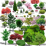 效果图后期植物PSD分层素材