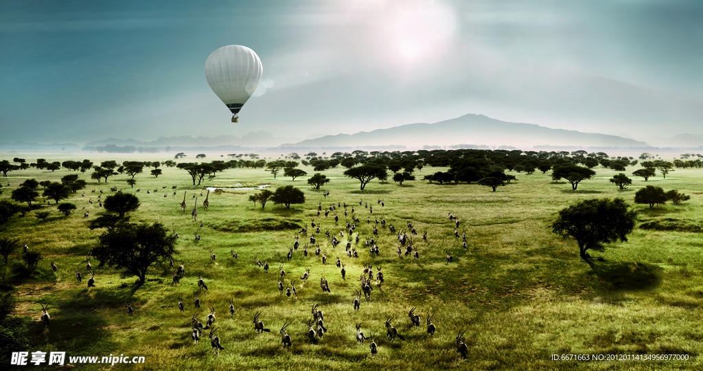草原羚羊群热气球BMW图片