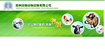 网页banner