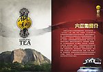 观弘大红袍茶业宣传册封面