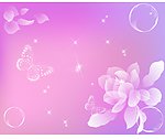 透明花