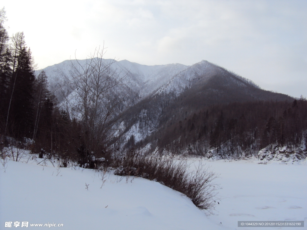 雪后的山坡