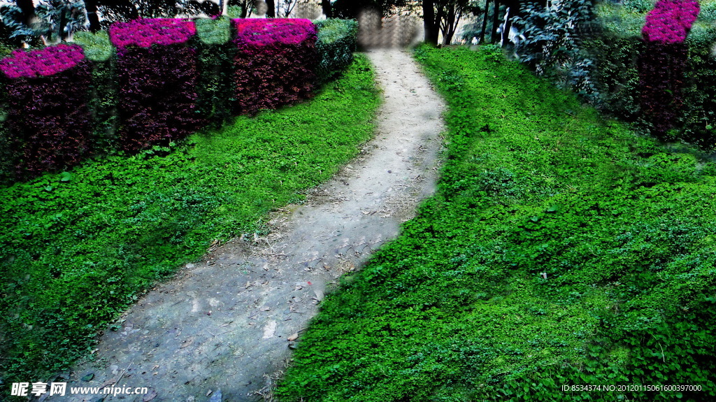 绿地间小路