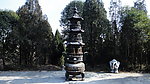 与松柏同青