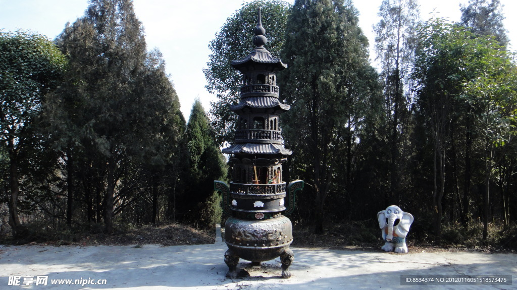 与松柏同青