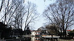 红色 水榭