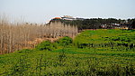 魅力山岗