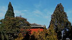高树藏古寺