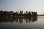 东湖秋景