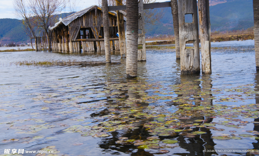 拉市海国际湿地公园