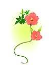 花纹矢量