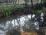 阴雨太子湾水坑