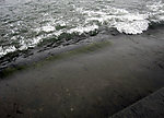 西湖潮水