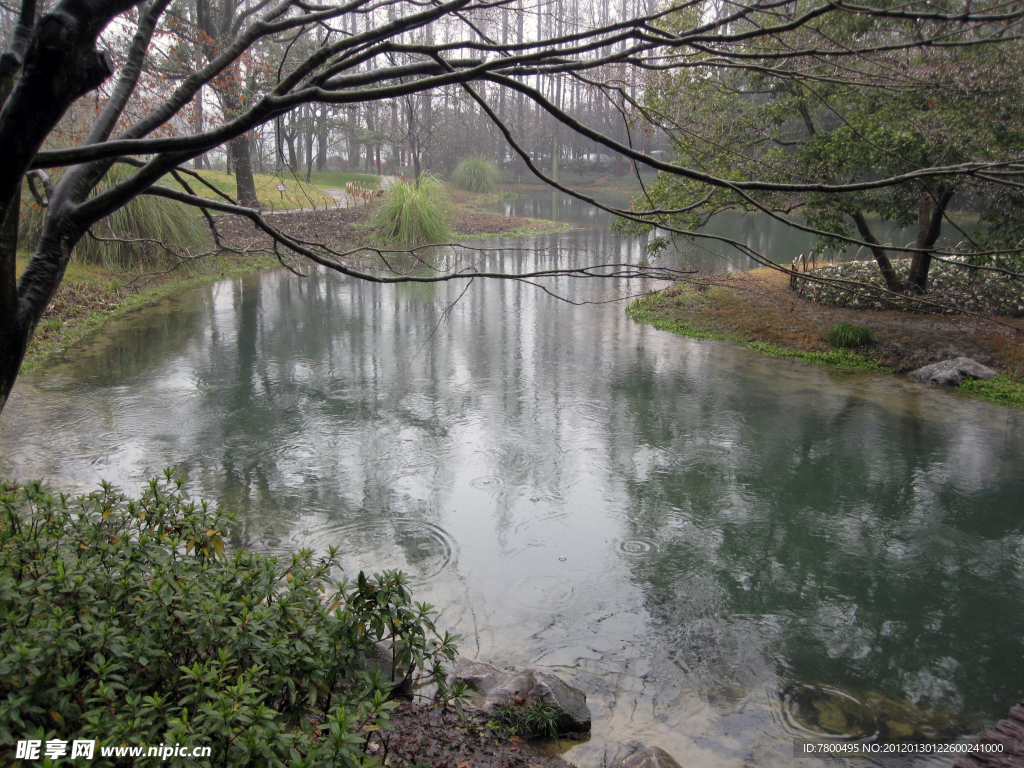 湖泊雨林