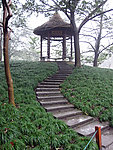 太子湾亭子