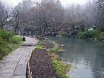 太子湾河边小路