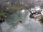 太子湾河岸边