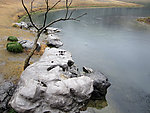 太子湾小河岸边